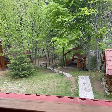 Inn 