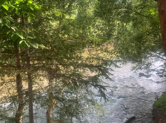 Värdshus 