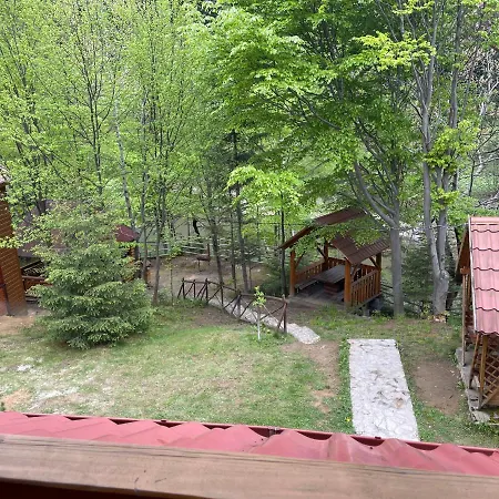 Inn 